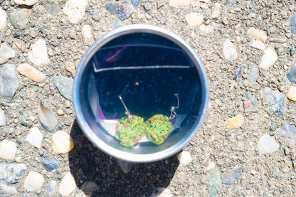 Strawberry Cookies Bud Earrings